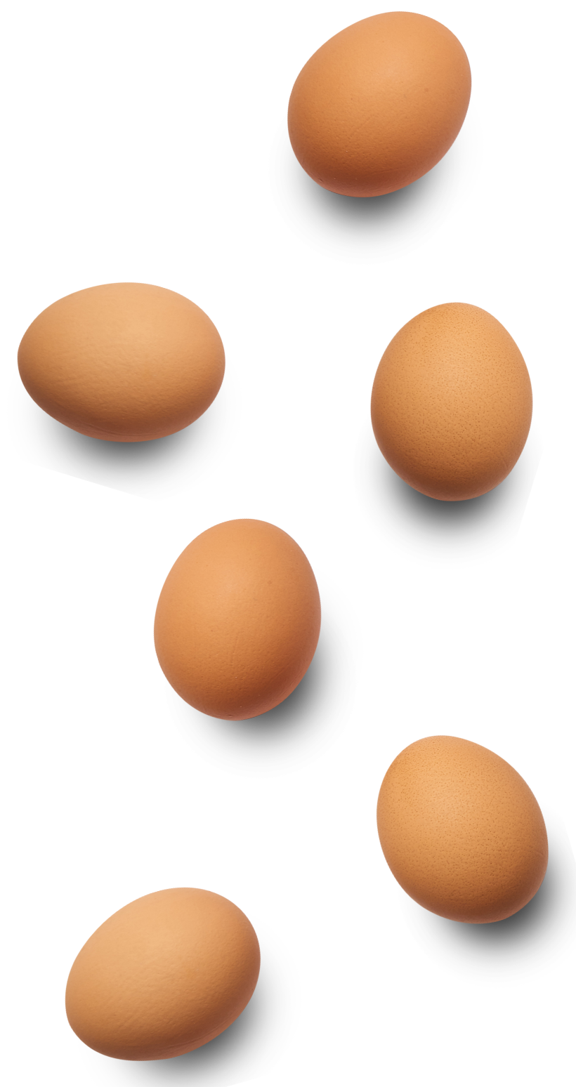 Oeufs