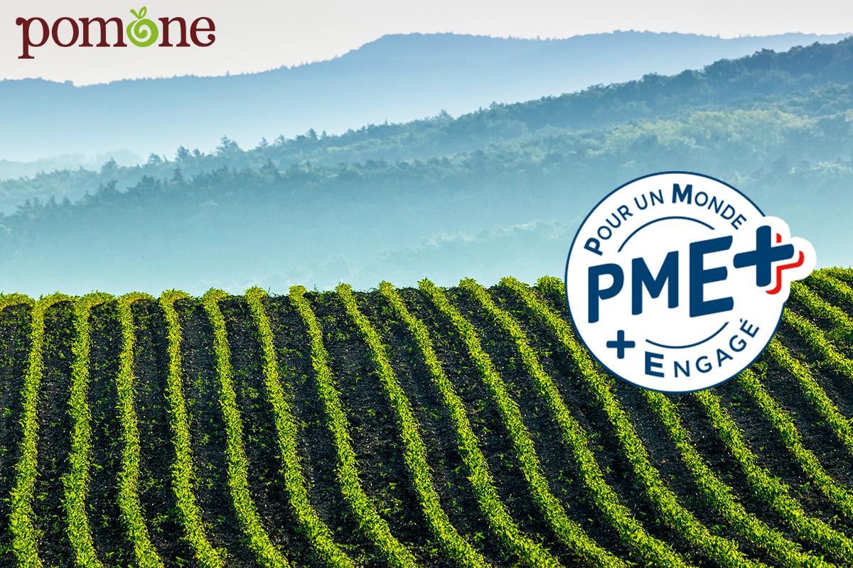 What is the French PME+Label?