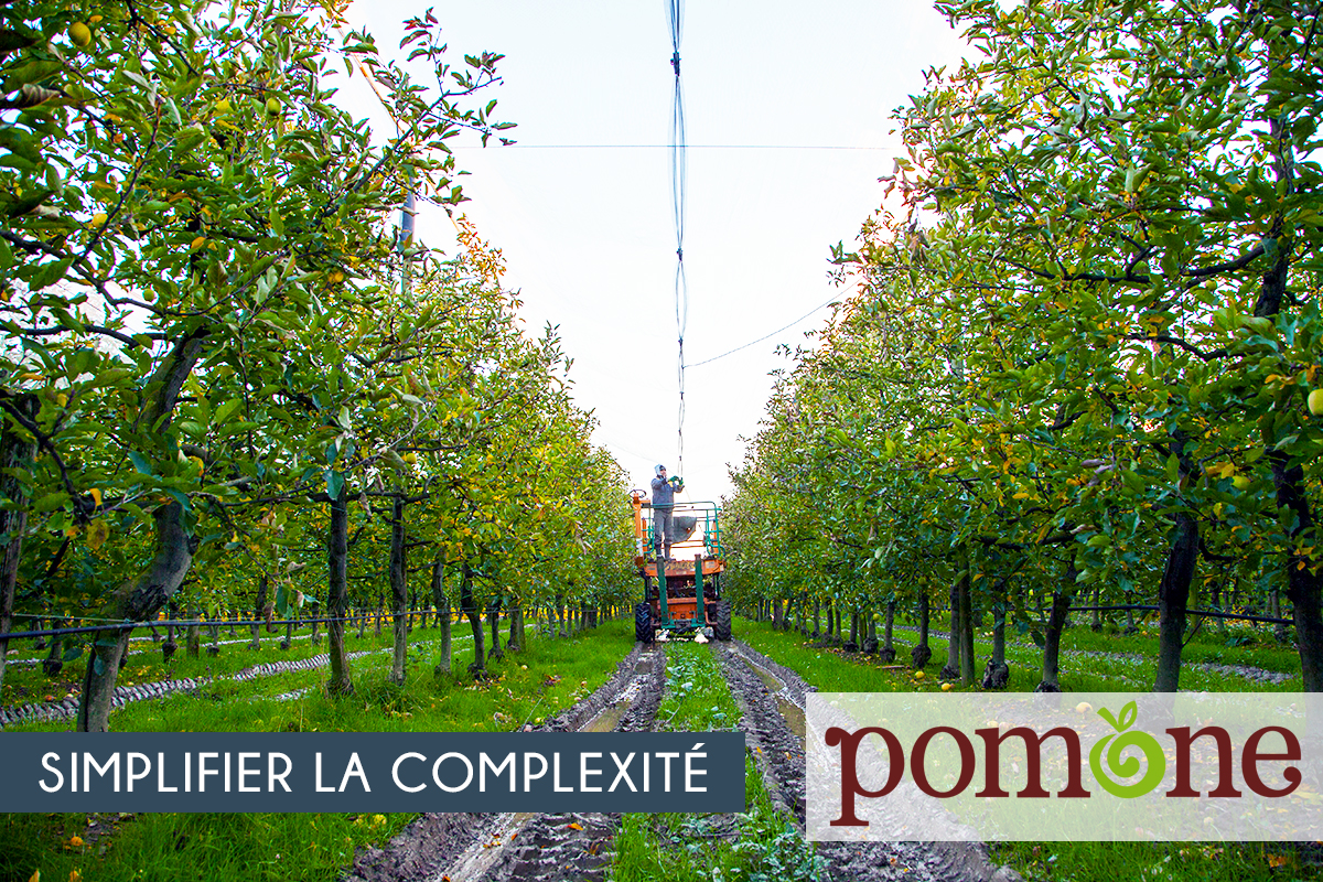 Simplifier la complexité