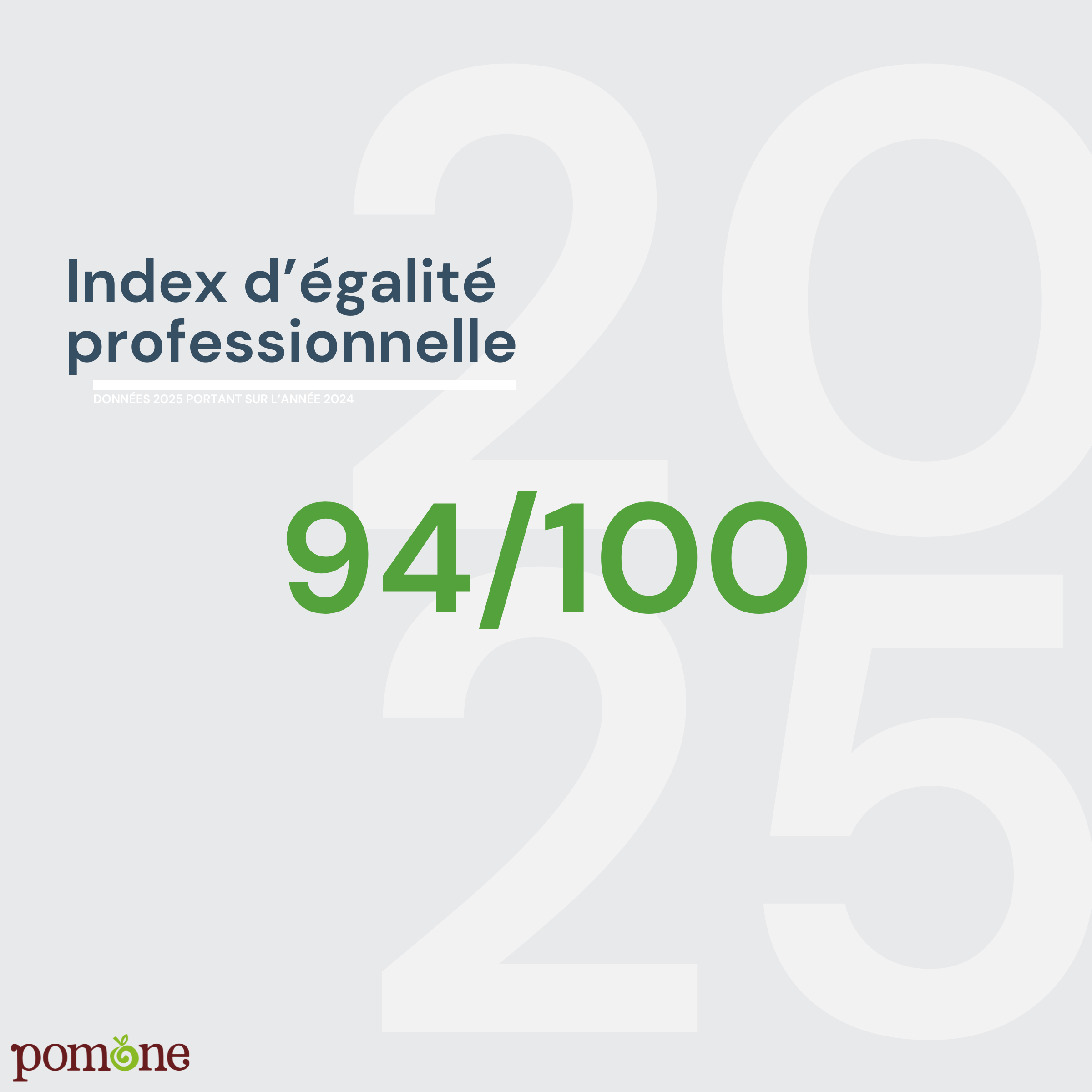 Index d’égalité professionnelle 2025 portant sur 2024