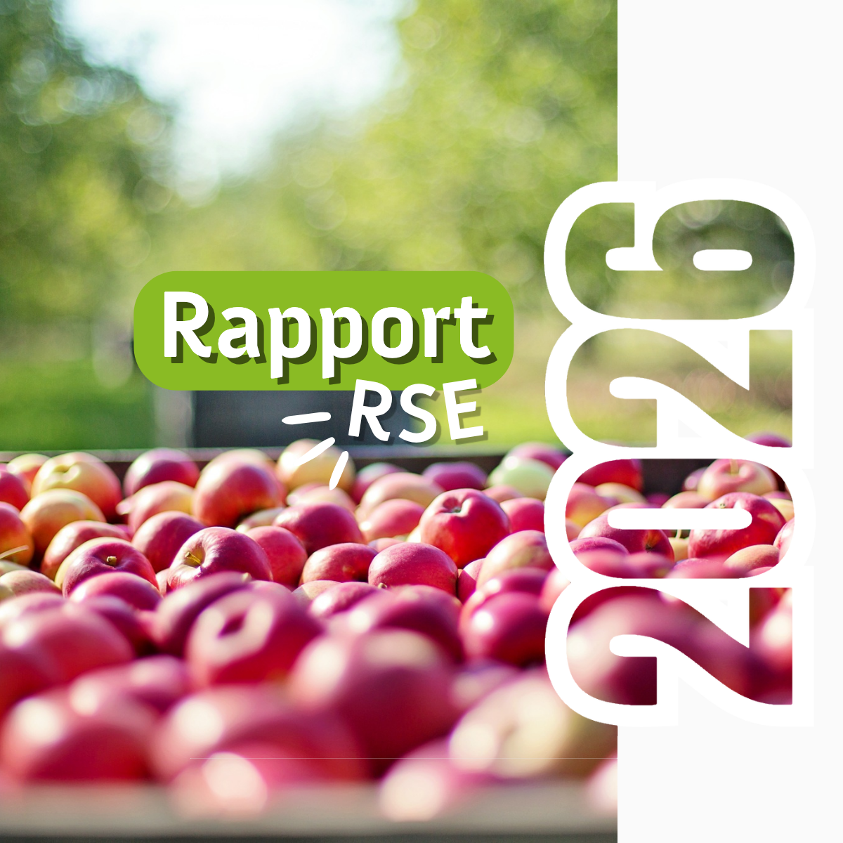 Notre Rapport RSE 2026, aussi passionnant qu&rsquo;ambitieux !