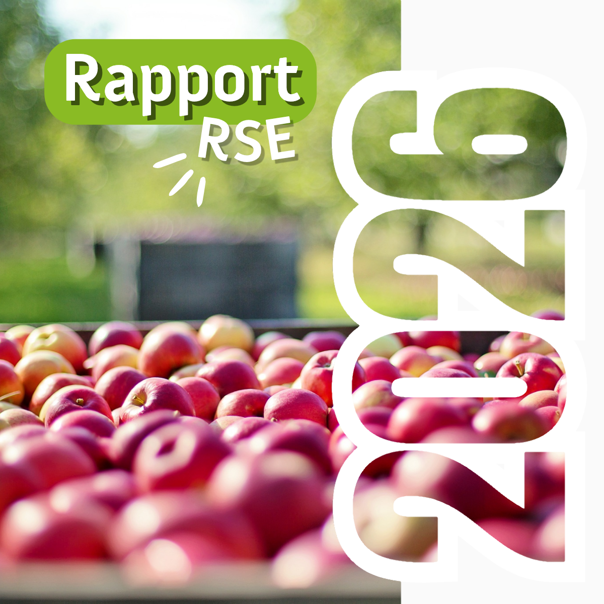Notre Rapport RSE 2026, aussi passionnant qu&rsquo;ambitieux !